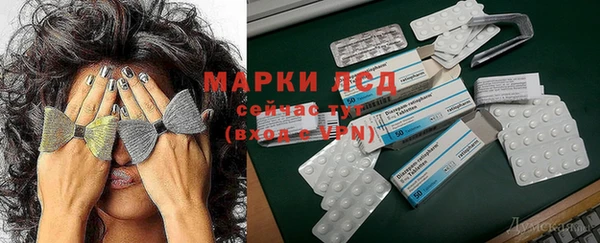 спайс Липки