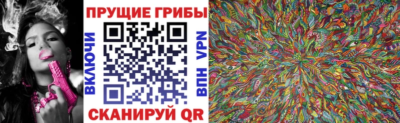 Купить где  Новохопёрск  Галлюциногенные грибы Magic Shrooms 